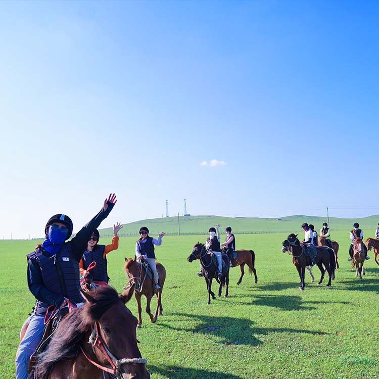 Hobusetuse koolituse juhtum